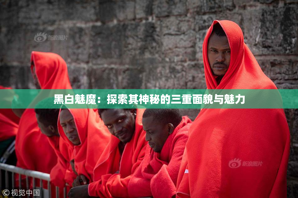 黑白魅魔：探索其神秘的三重面貌与魅力