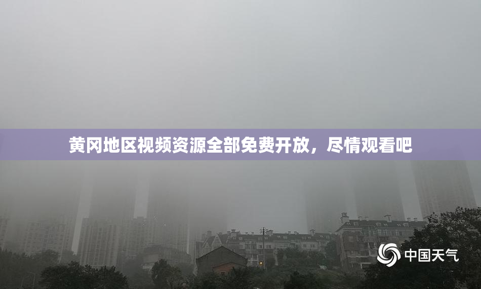 黄冈地区视频资源全部免费开放，尽情观看吧
