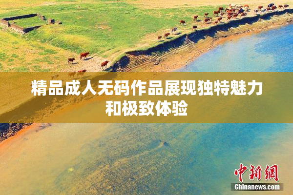 精品成人无码作品展现独特魅力和极致体验