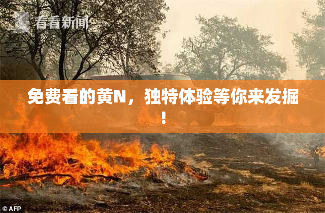 免费看的黄Ν，独特体验等你来发掘!