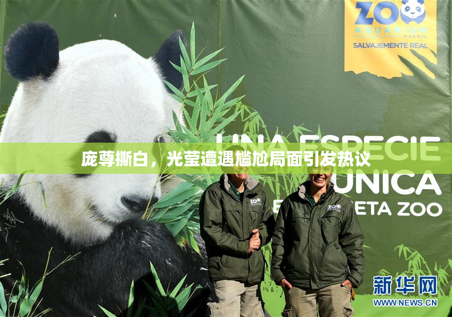 庞尊撕白，光莹遭遇尴尬局面引发热议