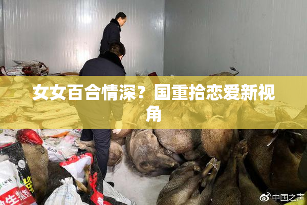 女女百合情深？国重拾恋爱新视角