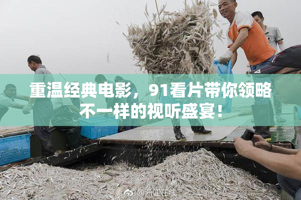 重温经典电影，91看片带你领略不一样的视听盛宴！