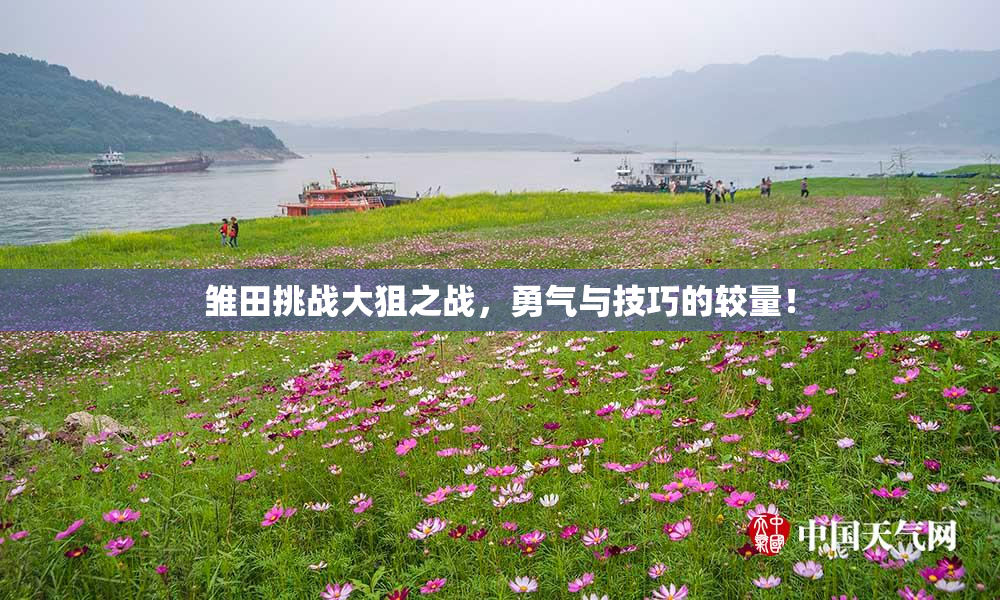 雏田挑战大狙之战，勇气与技巧的较量！