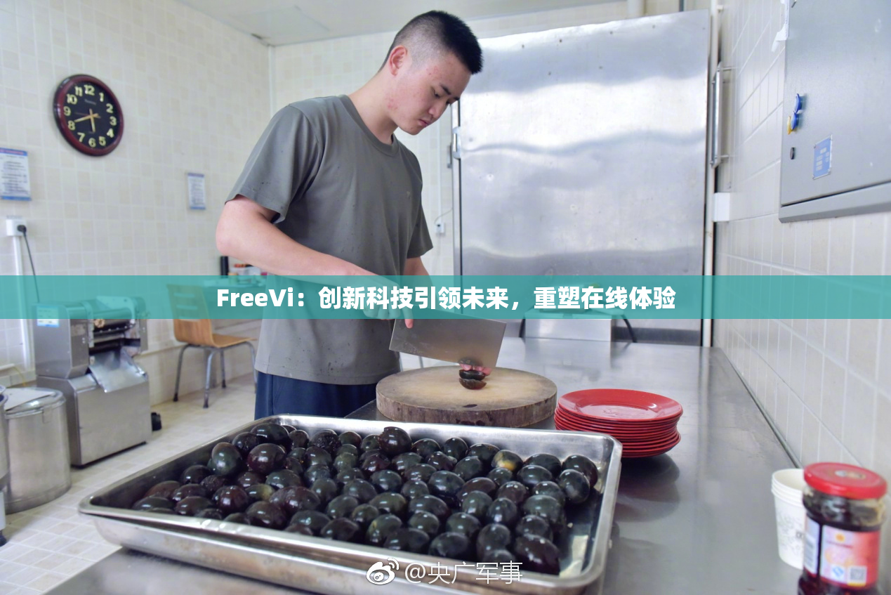 FreeVi：创新科技引领未来，重塑在线体验