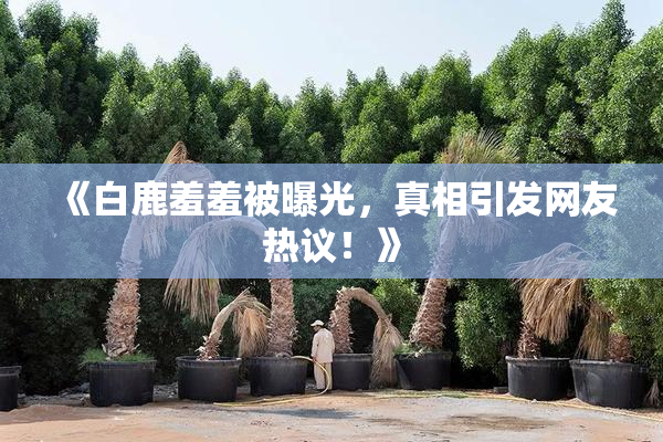 《白鹿羞羞被曝光，真相引发网友热议！》