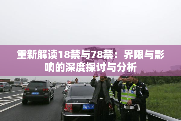 重新解读18禁与78禁：界限与影响的深度探讨与分析