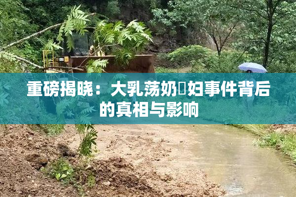 重磅揭晓：大乳荡奶婬妇事件背后的真相与影响