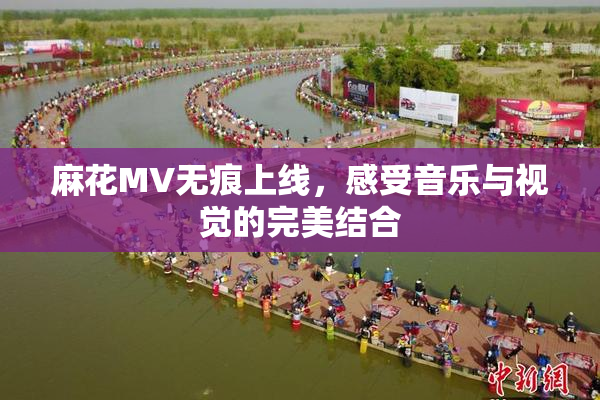 麻花MV无痕上线，感受音乐与视觉的完美结合