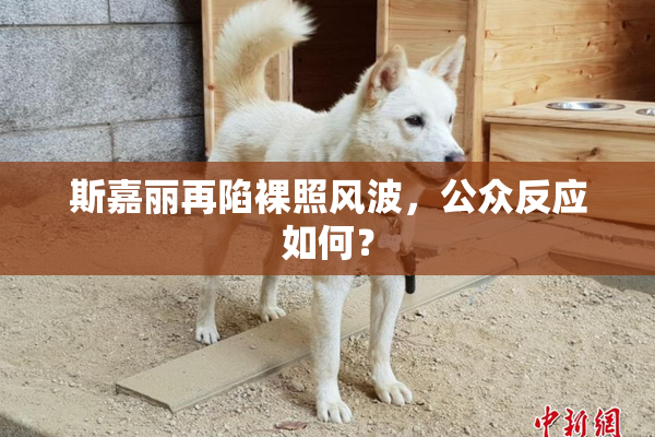 斯嘉丽再陷裸照风波，公众反应如何？