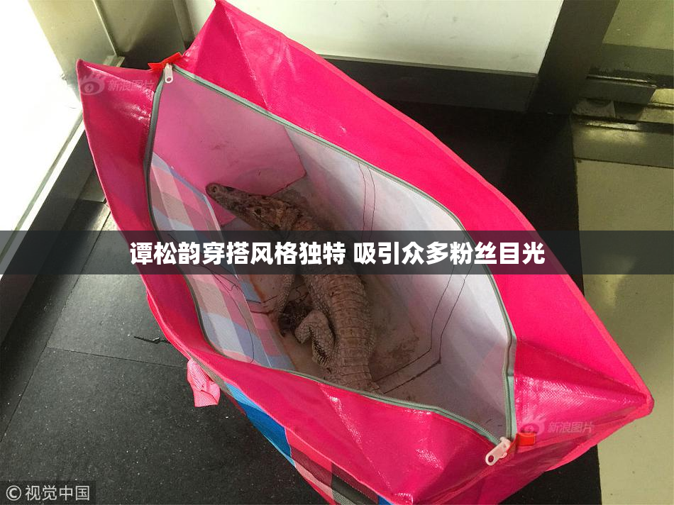 谭松韵穿搭风格独特 吸引众多粉丝目光