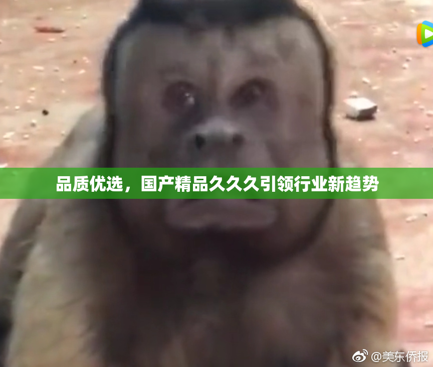 品质优选，国产精品久久久引领行业新趋势
