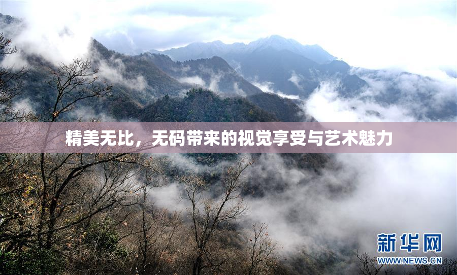 精美无比，无码带来的视觉享受与艺术魅力