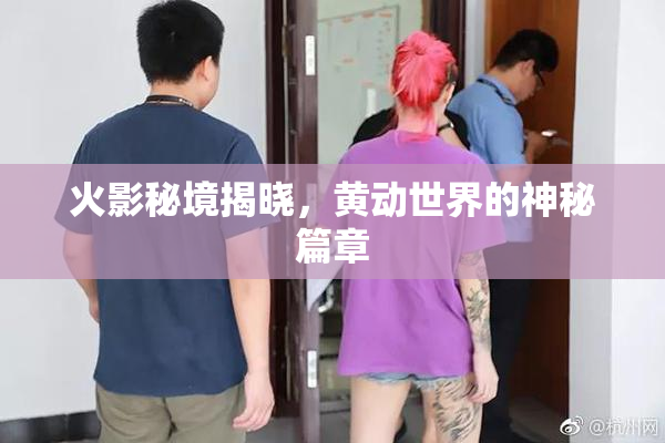 火影秘境揭晓，黄动世界的神秘篇章