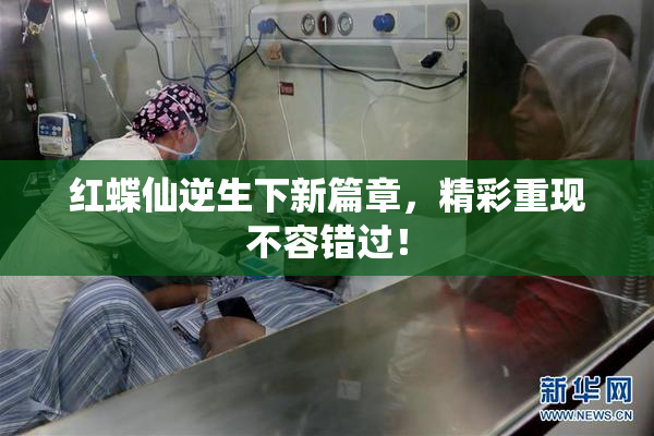 红蝶仙逆生下新篇章，精彩重现不容错过！