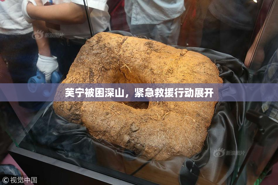 芙宁被困深山，紧急救援行动展开
