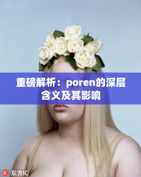 重磅解析：poren的深层含义及其影响