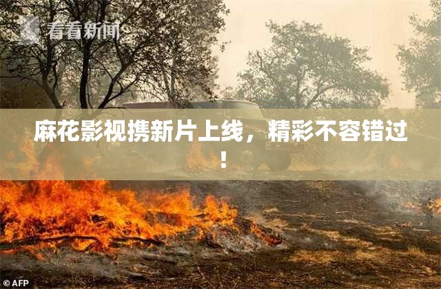 麻花影视携新片上线，精彩不容错过！