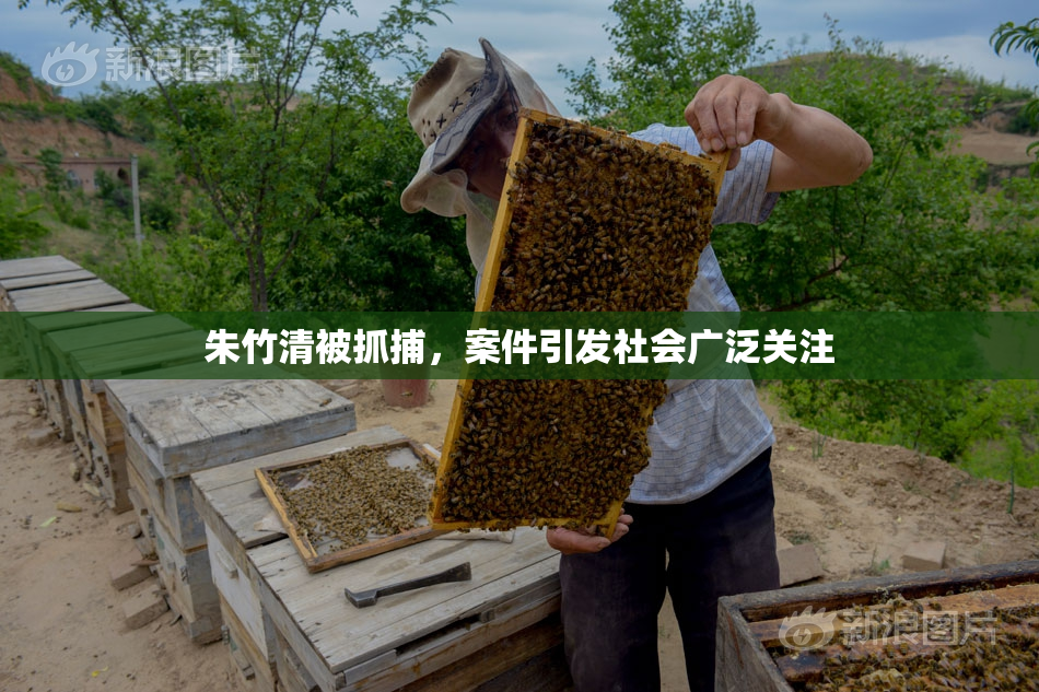 朱竹清被抓捕，案件引发社会广泛关注