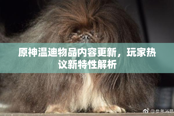原神温迪物品内容更新，玩家热议新特性解析