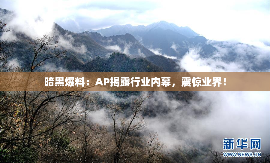 暗黑爆料：AP揭露行业内幕，震惊业界！