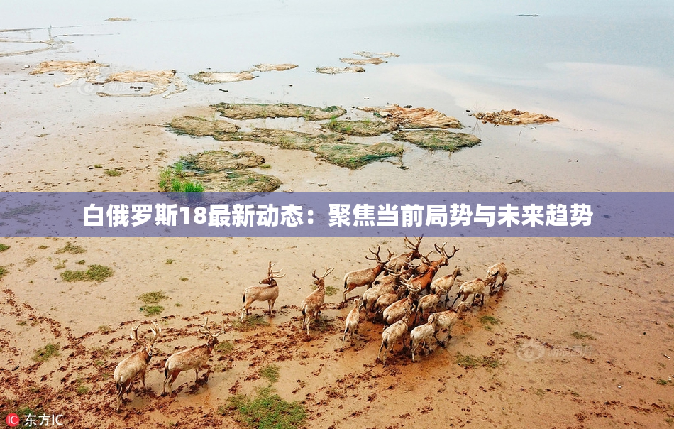 白俄罗斯18最新动态：聚焦当前局势与未来趋势