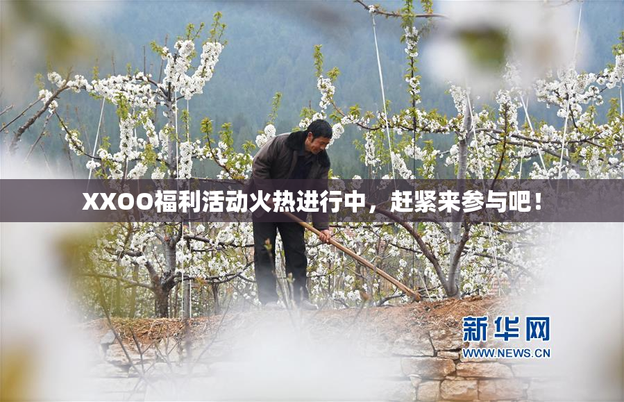XXOO福利活动火热进行中，赶紧来参与吧！