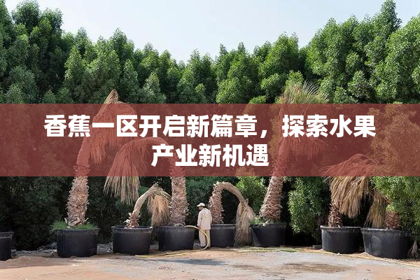 香蕉一区开启新篇章，探索水果产业新机遇