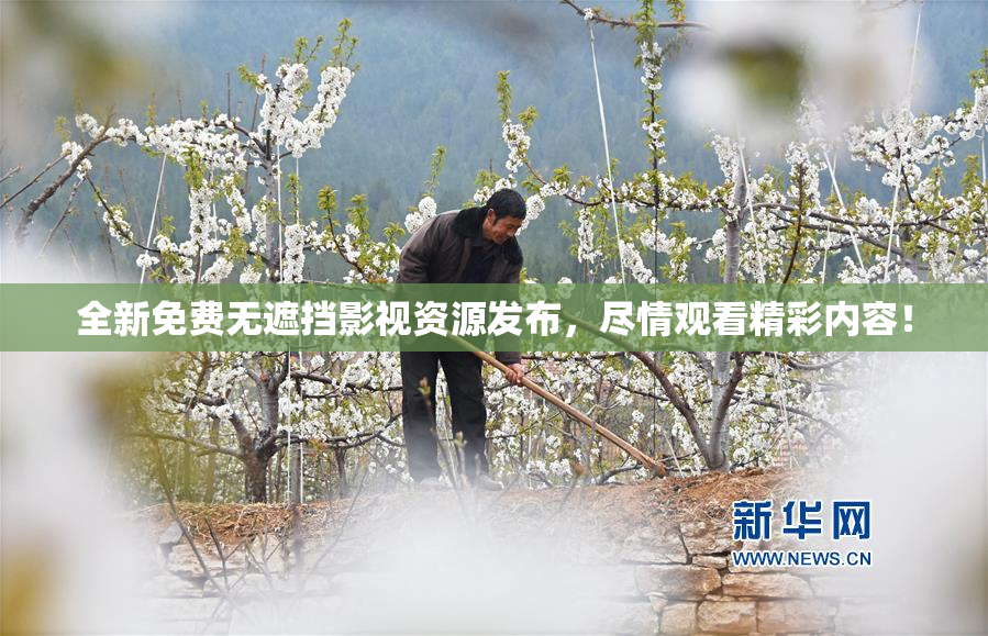 全新免费无遮挡影视资源发布，尽情观看精彩内容！
