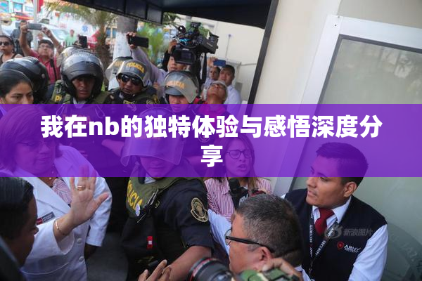 我在nb的独特体验与感悟深度分享