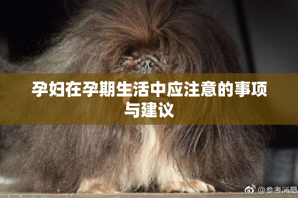 孕妇在孕期生活中应注意的事项与建议
