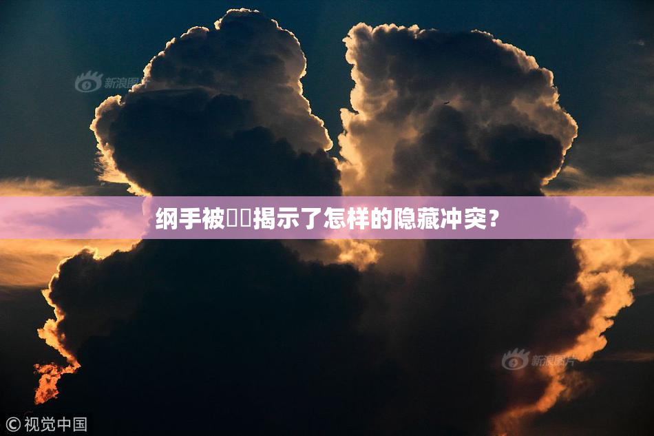 纲手被❌‌揭示了怎样的隐藏冲突？