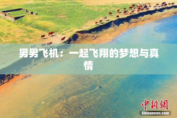男男飞机：一起飞翔的梦想与真情