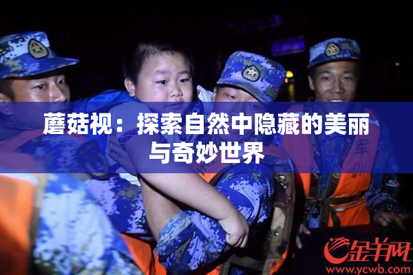 蘑菇视：探索自然中隐藏的美丽与奇妙世界