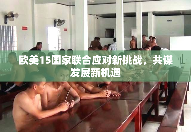欧美15国家联合应对新挑战，共谋发展新机遇