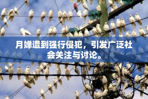 月婵遭到强行侵犯，引发广泛社会关注与讨论。