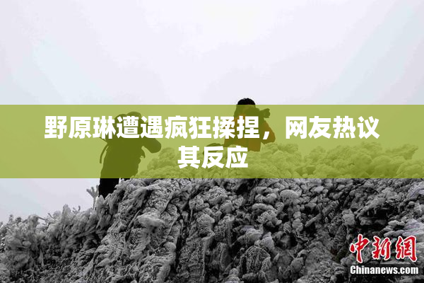 野原琳遭遇疯狂揉捏，网友热议其反应