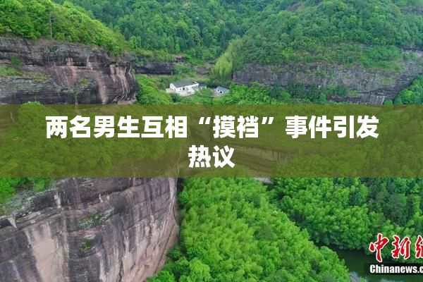 两名男生互相“摸裆”事件引发热议