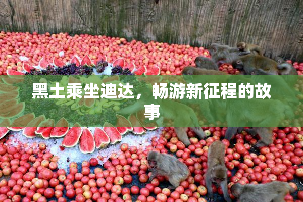 黑土乘坐迪达，畅游新征程的故事