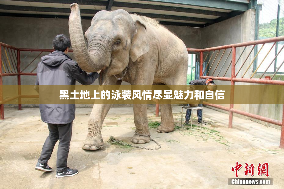 黑土地上的泳装风情尽显魅力和自信