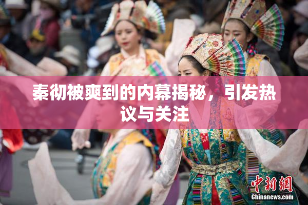 秦彻被爽到的内幕揭秘，引发热议与关注