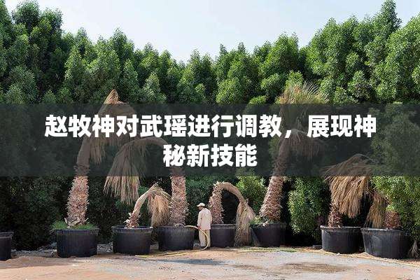 赵牧神对武瑶进行调教，展现神秘新技能