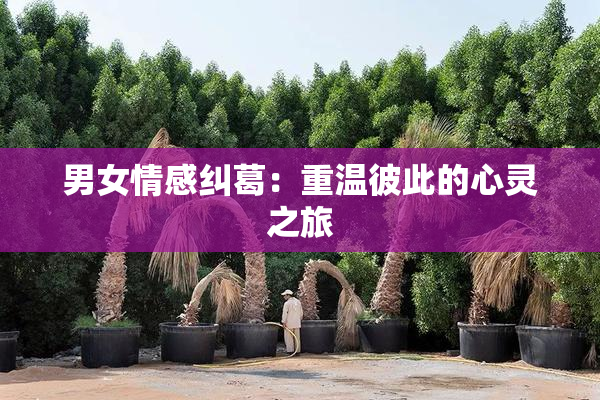 男女情感纠葛：重温彼此的心灵之旅