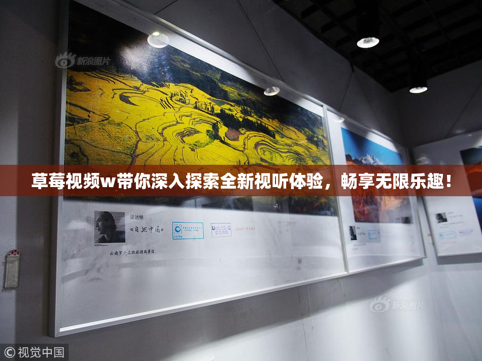 草莓视频w带你深入探索全新视听体验，畅享无限乐趣！
