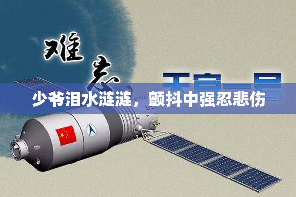 少爷泪水涟涟，颤抖中强忍悲伤