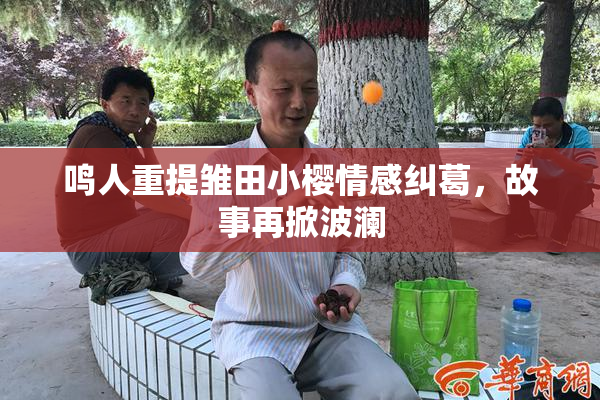 鸣人重提雏田小樱情感纠葛，故事再掀波澜