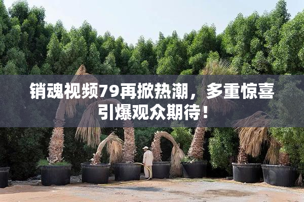 销魂视频79再掀热潮，多重惊喜引爆观众期待！
