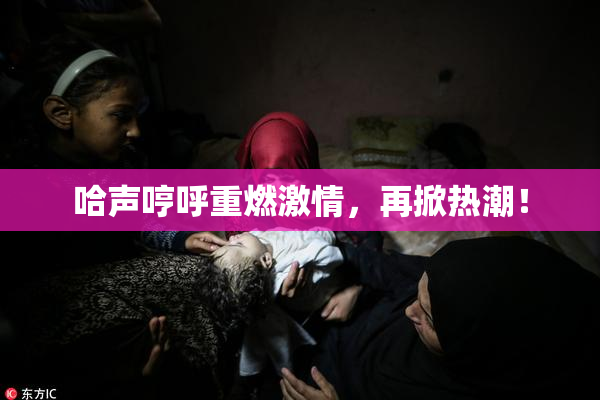 哈声哼呼重燃激情，再掀热潮！