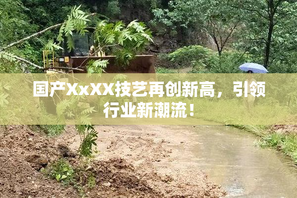 国产XxXX技艺再创新高，引领行业新潮流！