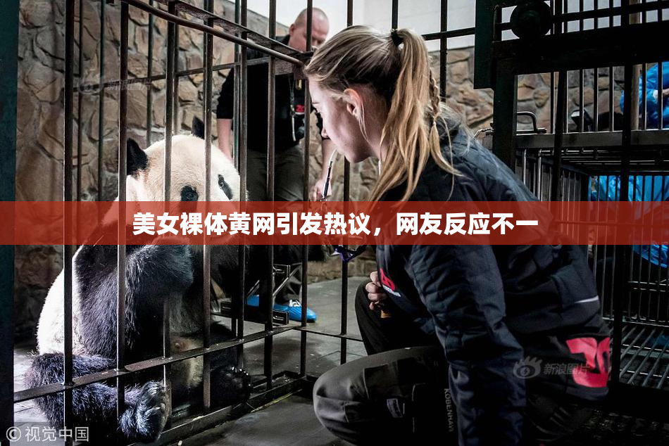 美女裸体黄网引发热议，网友反应不一